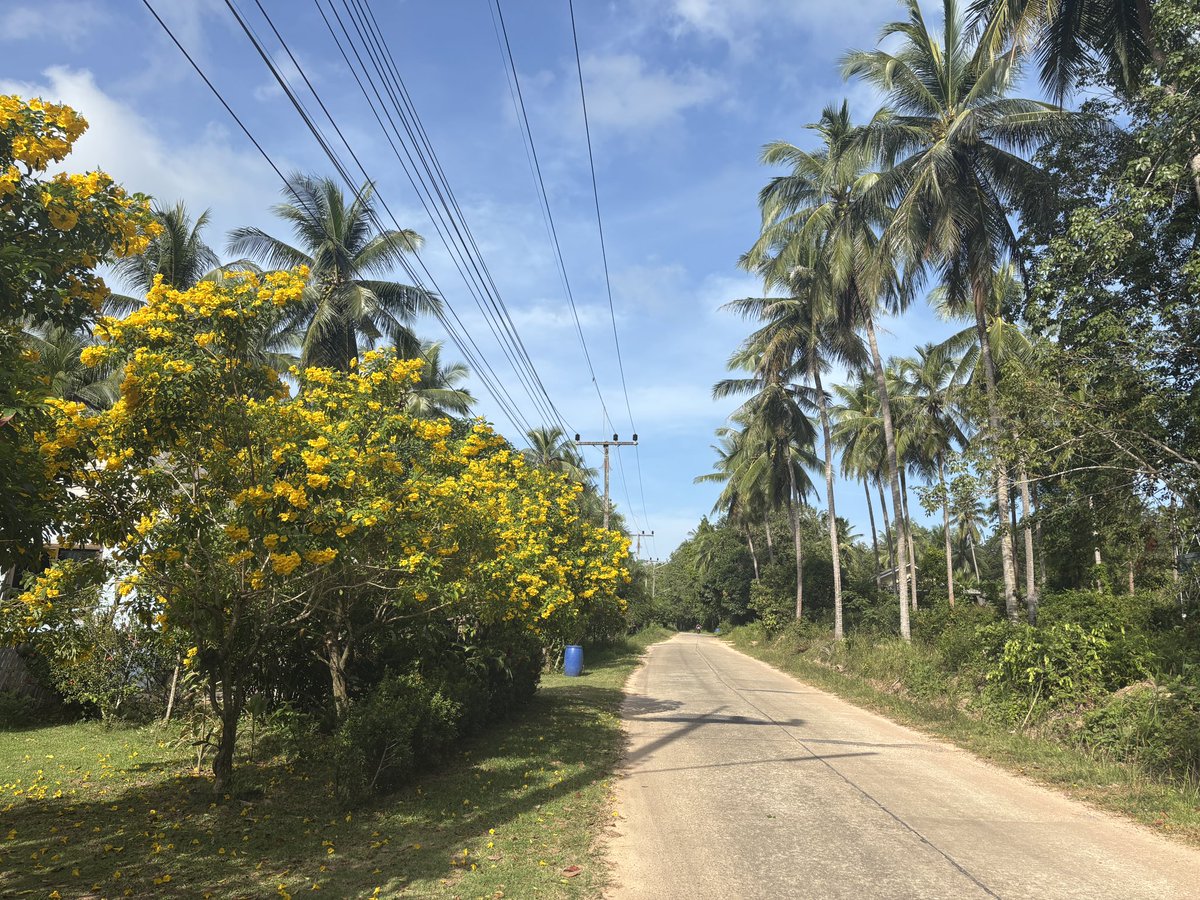 Daniel Fisher tweet media