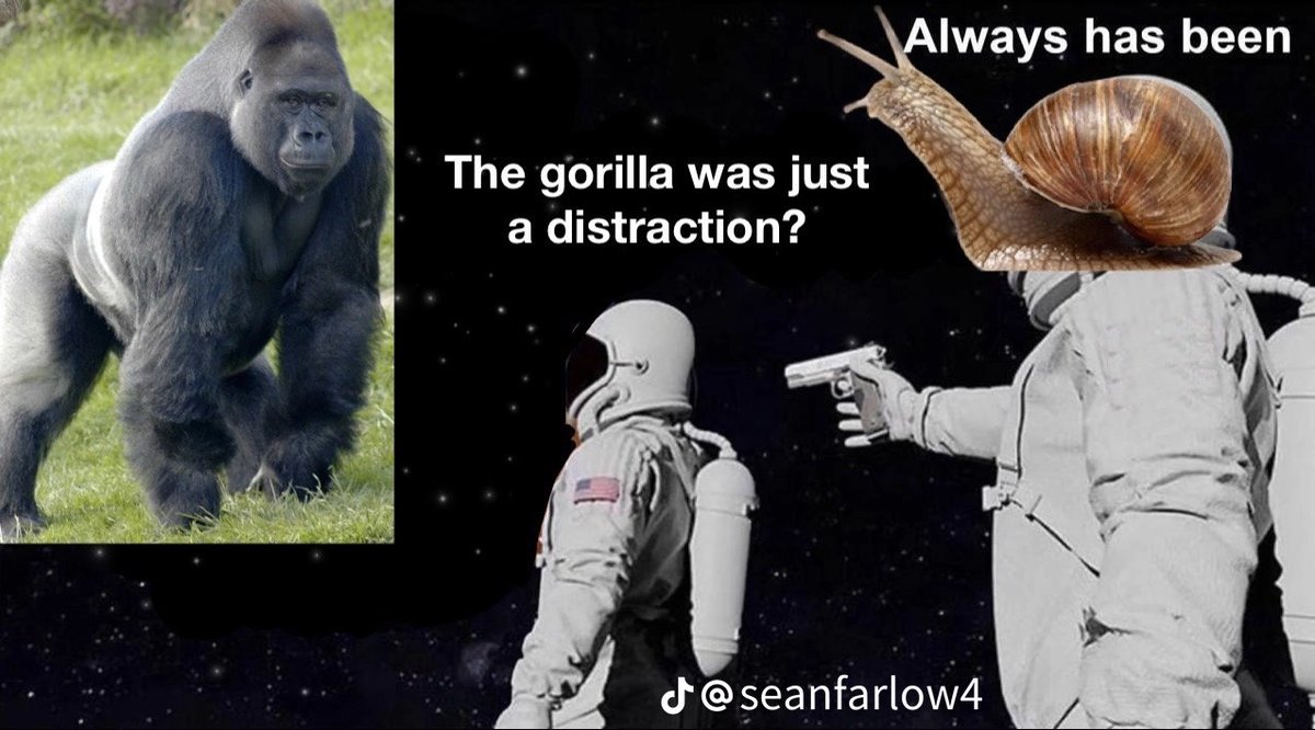 <a href="/RoundtableSpace/">0xMarioNawfal</a> Solana is the immortal snails chain