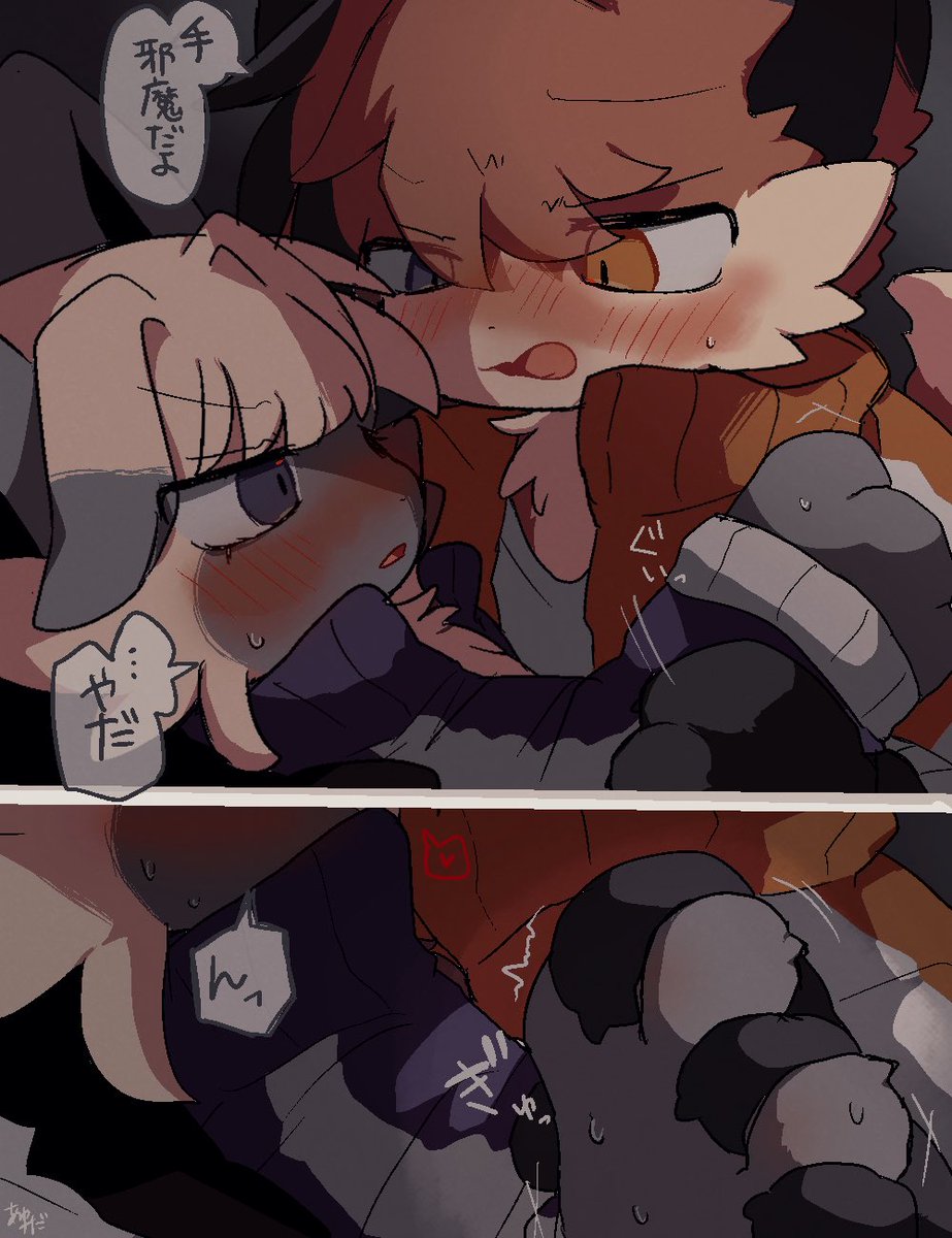 ayutada_kemono's tweet photo. 本当はダメじゃないけどね！ https://t.co/qUwv8khTI6