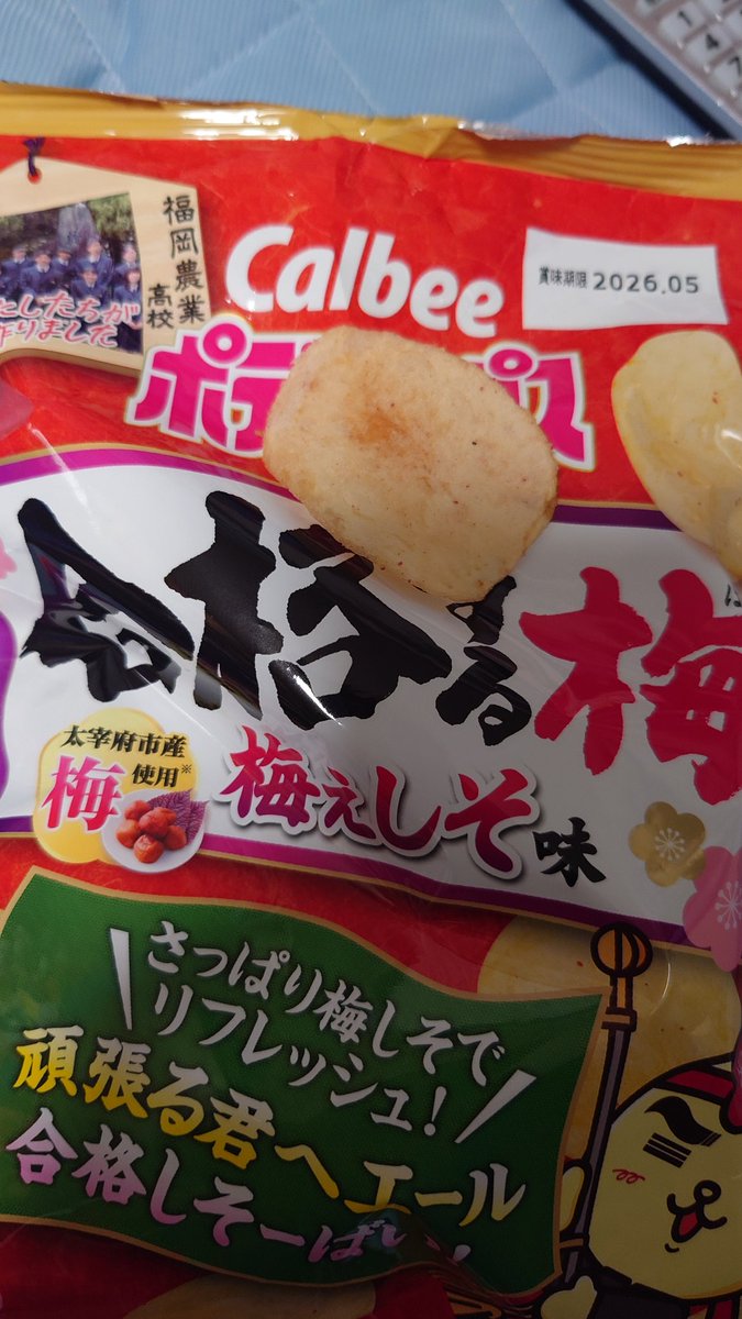 ぽてち 地元限定のポテトチップス🌼 美味すぎる✨✨