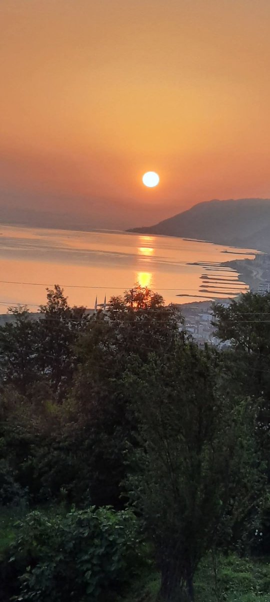 Gerçek Aptal kimdir.!?
Aptalın kendisimi
Yoksa Aptalı Takip Edenmi.
(Yoda)
Mutlu akşamlar diliyorum.
☕🎼