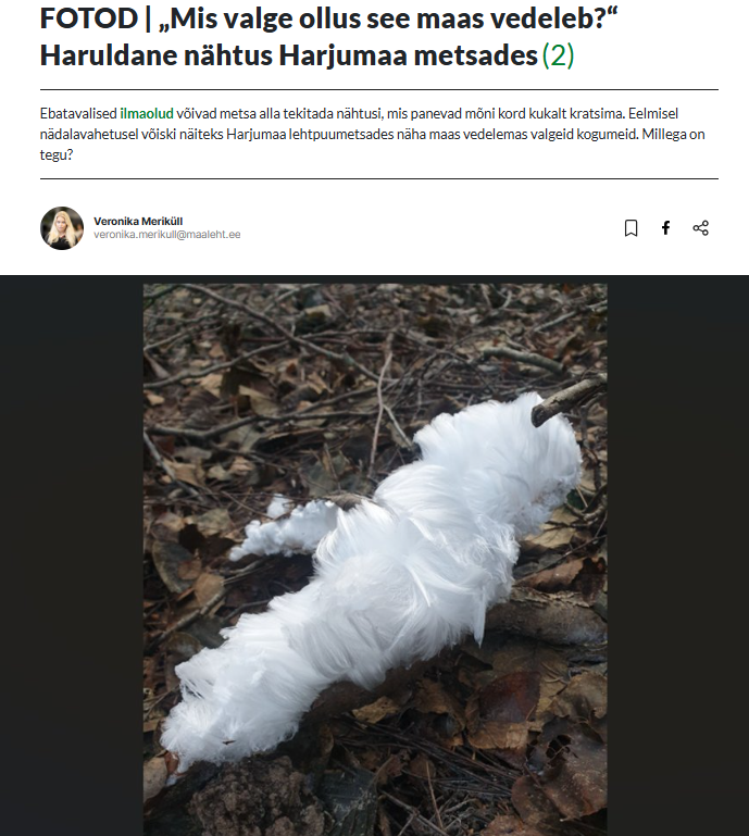 iPrognoos's tweet photo. Varsti võib lume kohta selliseid uudiseid lugeda https://t.co/mg3zrQuD3o