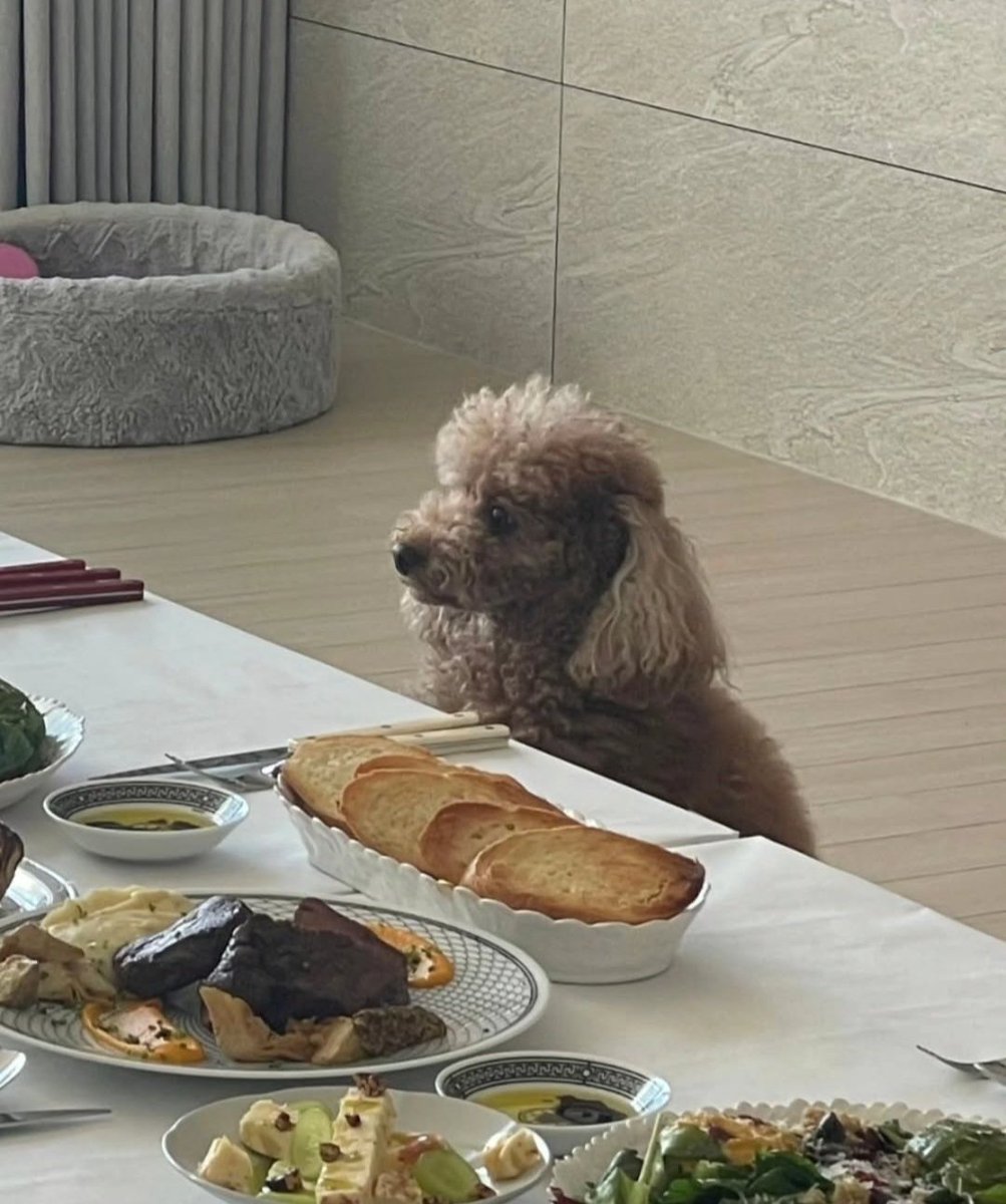 진짜 우리홀리 귀여워서 어쩌지ㅜㅜ