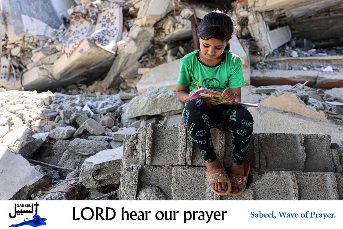 As many university students around the world go on winter break, it is important to remember...
sabeel.org/read-more-2656/