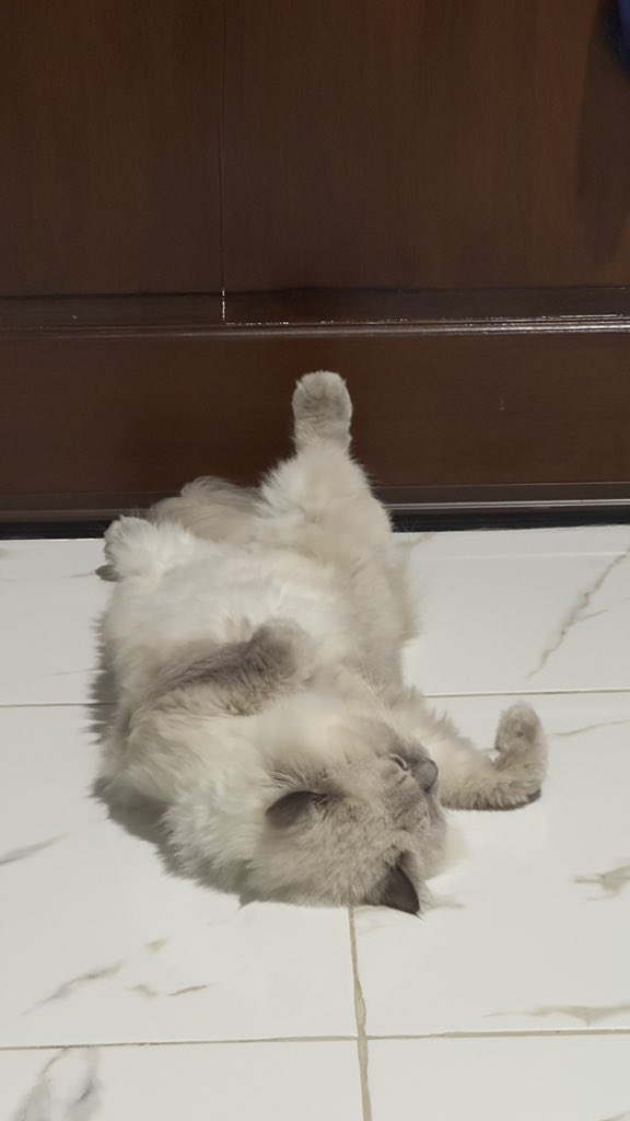 Lelah banget liat manusia