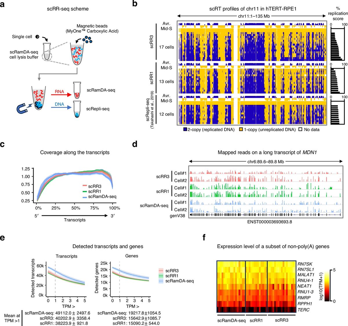 ゲノムのほうの愛ちゃん🌙 🐧 tweet media