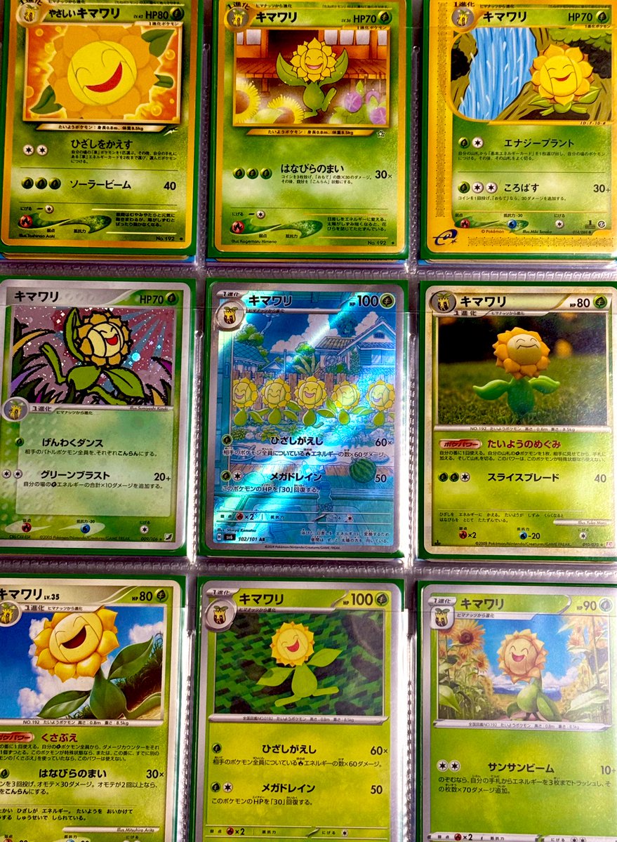 ゆきひまわりページ 図鑑No 192/251 キマワリ ヒマナッツから進化で黄色いひまわり🌻 進化