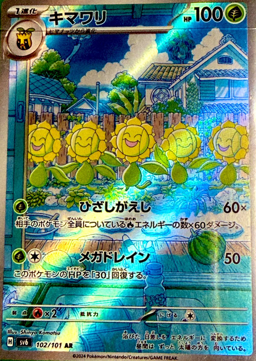 ゆきひまわりページ 図鑑No 192/251 キマワリ ヒマナッツから進化で黄色いひまわり🌻 進化