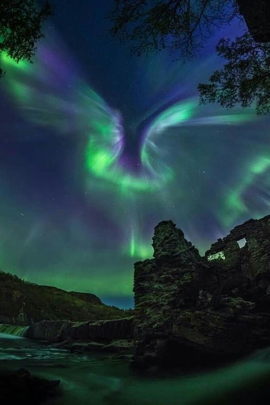 Aurora like in a shape of an Angel with wings😍🔭