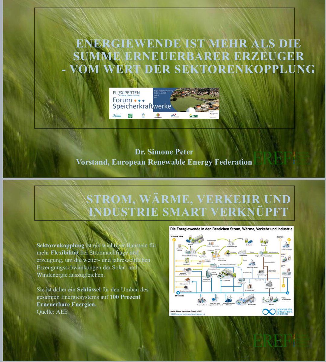 peter_simone's tweet image. Spannende Diskussionen beim Forum Speicherkraftwerke auf der #Biogas Trade Fair 2025 in Nürnberg letzte Woche, wie hier beim Netzwerk Flexperten. #Flexibilität ist die neue Leitwährung im Stromsystem, deshalb gibt es bei Batterien 🔋 und Biogas 🌱 kein Oder, sondern nur ein UND!