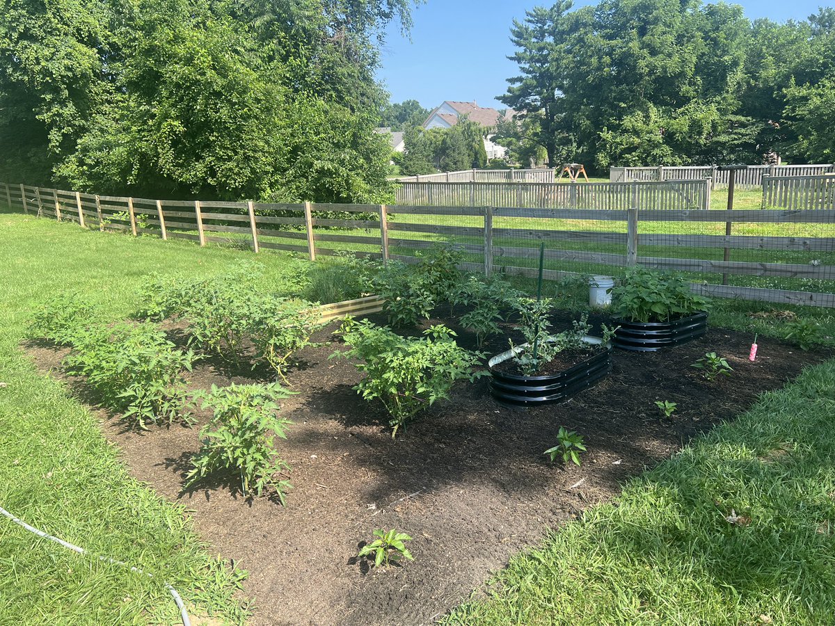seth_harden's tweet photo. @Wiscredneck @SlumRNA_Dog Here’s our 20x20 garden this year (photo from early season). Spent a couple hours every weekend canning everything. Output was so high we literally didn’t have the space to continue canning/storing it. https://t.co/fGAY5sLSLJ