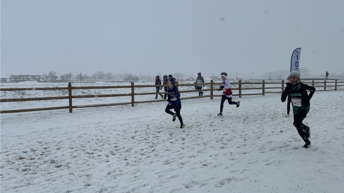 Plainfield Pack TFCC tweet media