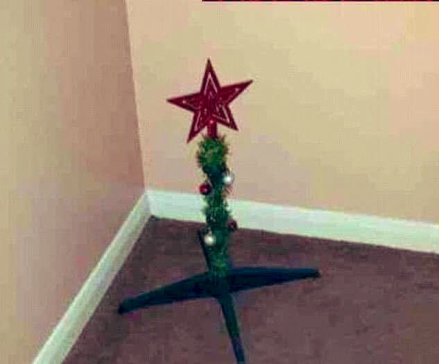 Teddy ,<a href="/VMusinachirevo/">TEDIOUS MUSINACHIREVO</a> Kaa? What kinda Christmas tree is this? 😂😂😂😂😂 

Black Label yakatiparira shuwa! 😂😂😂

Anyway,happy Christmas to you and Magumbo mupfanha wami!🔥😅