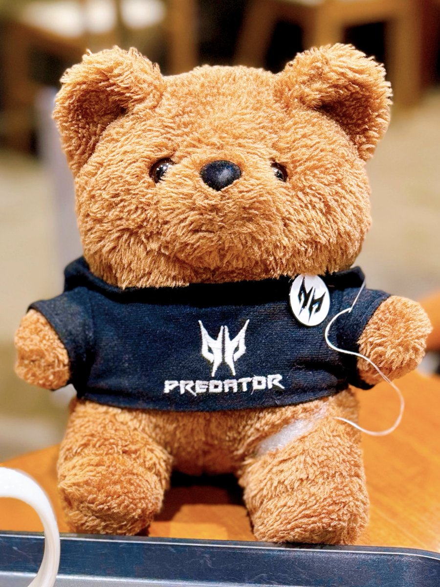 ʕ•ᴥ•ʔ予想ʕ•ᴥ•ʔ 1番：プレベアブラウンくん 2番：ミニプレベア