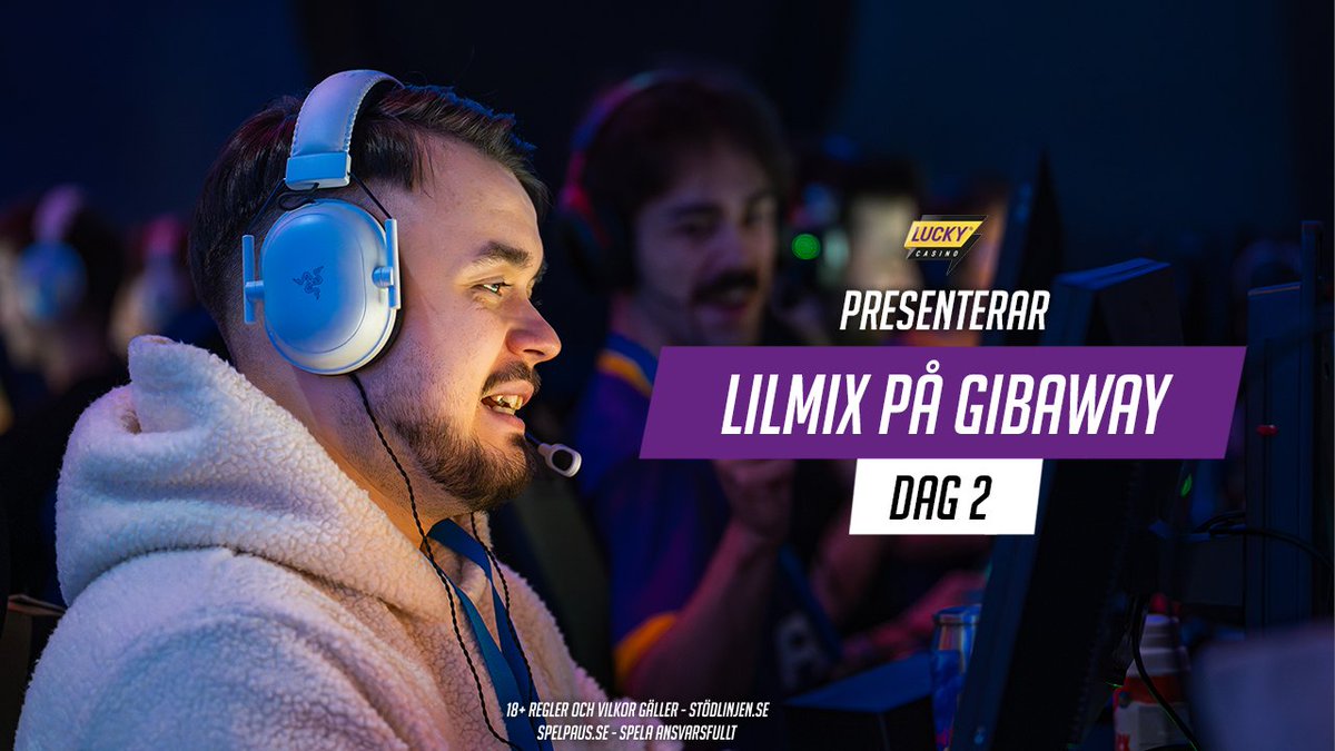 Lilmix Esports tweet media