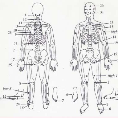 mspankow's tweet photo. Discover how we use bioenergetic therapy to detect and restore energy imbalances so you can feel calmer and more balanced. Book a consult and take a gentle step toward relief. https://t.co/ptAe3dcGPa #HolisticHealth #MorristownNJ https://t.co/WGapH3fwCT