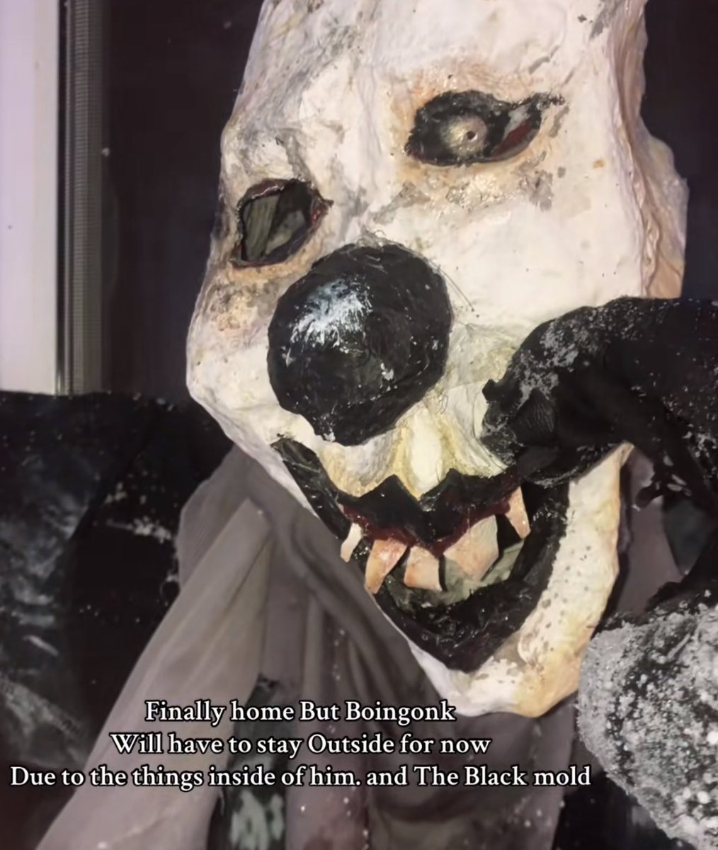 Lily Bloom (@lilyfbloom) on Twitter photo 