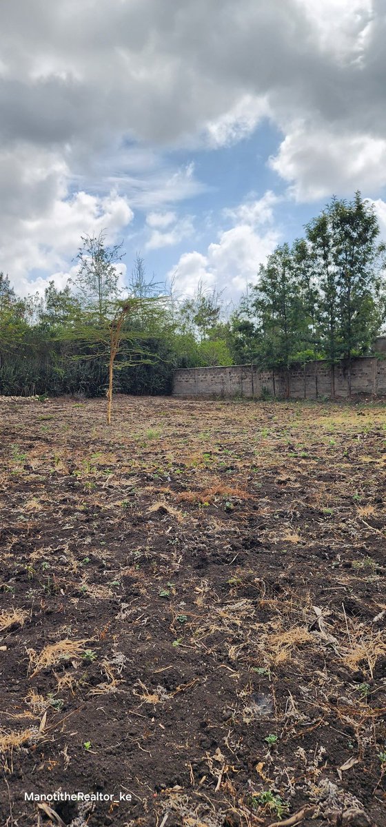 manoting9's tweet image. A half acre residential property for sale, Ongata rongai - Rimpa.
It's within in a gated community - privately controlled from developments!
It has a clean freehold title deed 

On sale ksh 13M neg
📞 0721 594 567 #Manoti #realtor #land #onsale #residential #plotsforsale #plot