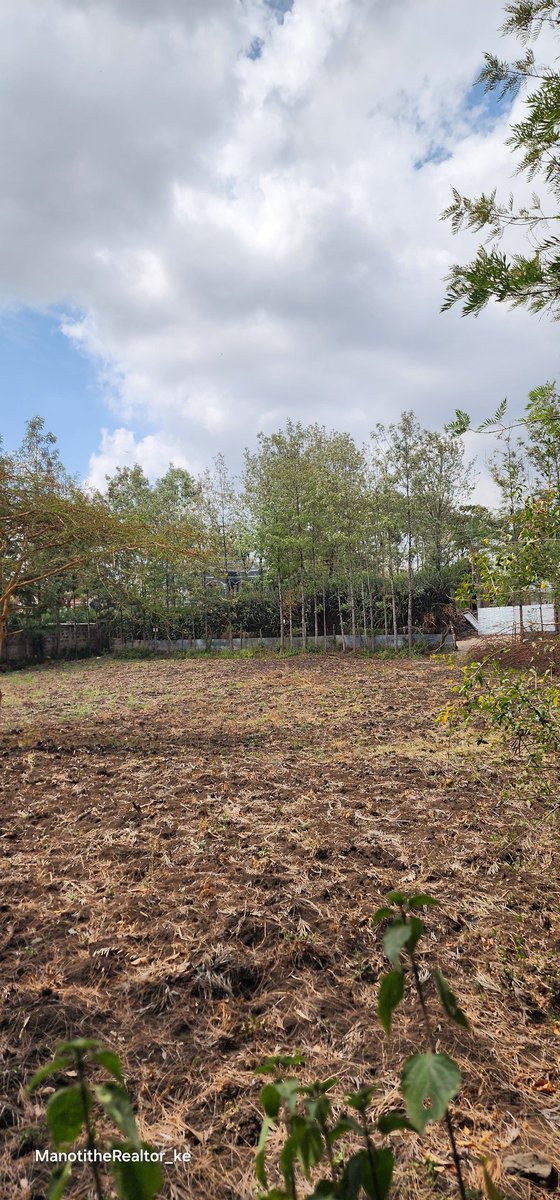 manoting9's tweet image. A half acre residential property for sale, Ongata rongai - Rimpa.
It's within in a gated community - privately controlled from developments!
It has a clean freehold title deed 

On sale ksh 13M neg
📞 0721 594 567 #Manoti #realtor #land #onsale #residential #plotsforsale #plot