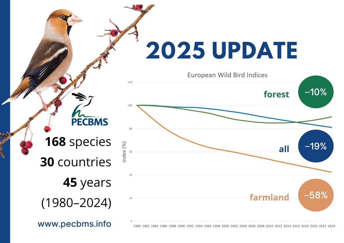 RichDGregory3's tweet image. ***New** Latest wild bird trends in Europe: Pan-European Common Bird Monitoring Scheme (PECBMS) indicators &amp;amp; species trends 1980–2024. Data = 168 bird species, 30 countries⬇️@RSPBScience @BirdLifeEurope @ebcc @EU_ENV @UCLCBER
pecbms.info/european-wild-… pecbms.info/trends-and-ind… 🐦 📉
