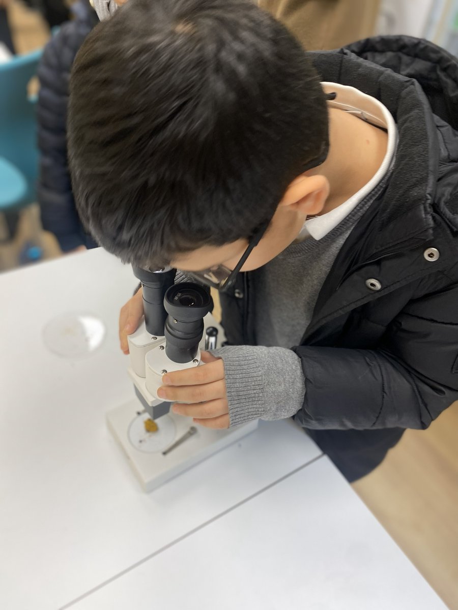 ecosySTEM Hub tweet media