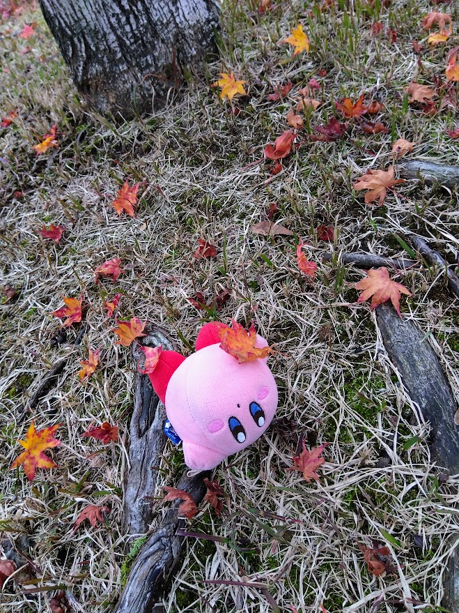 てぃんくるぽぽ Beta] Kirby's Dream Land / 星のカービィ, AKA Tinkle Popo