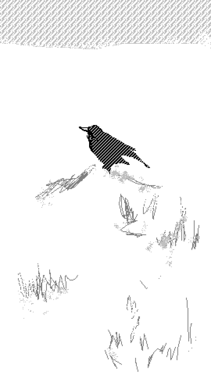 MoriYuzan's tweet image. Animation study of winter life.