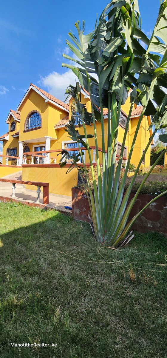 manoting9's tweet image. 4 Br All En-Suite 

📍Ongata rongai - Acacia
Dsq
Study room
On a quarter acre 
Freehold title 

On sale ksh 23M

📞 0721 594 567 #Manoti #realtor #house #onsale #realestate #fyp #homesforsale