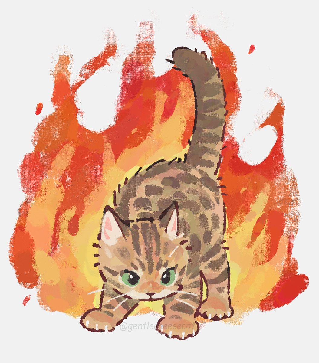 gentleeeeeeecat's tweet image. 