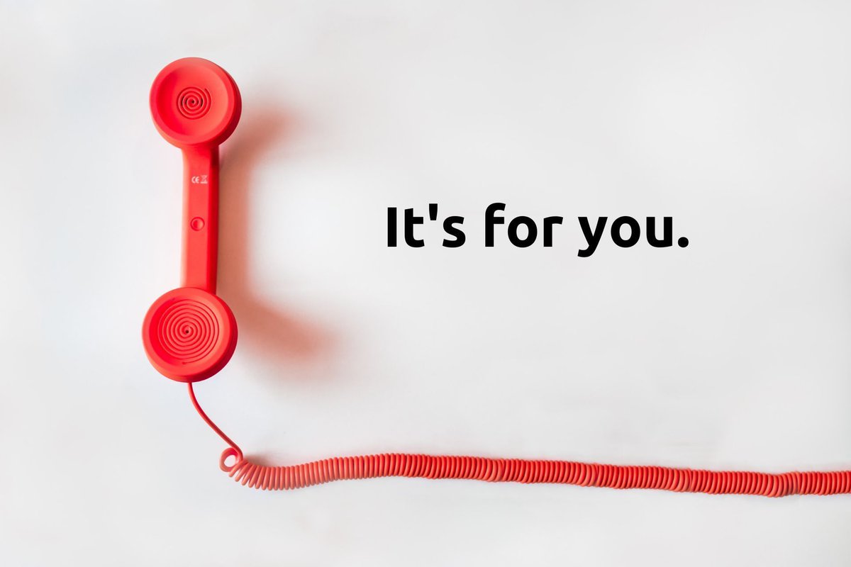 Seed to Oaks tweet media