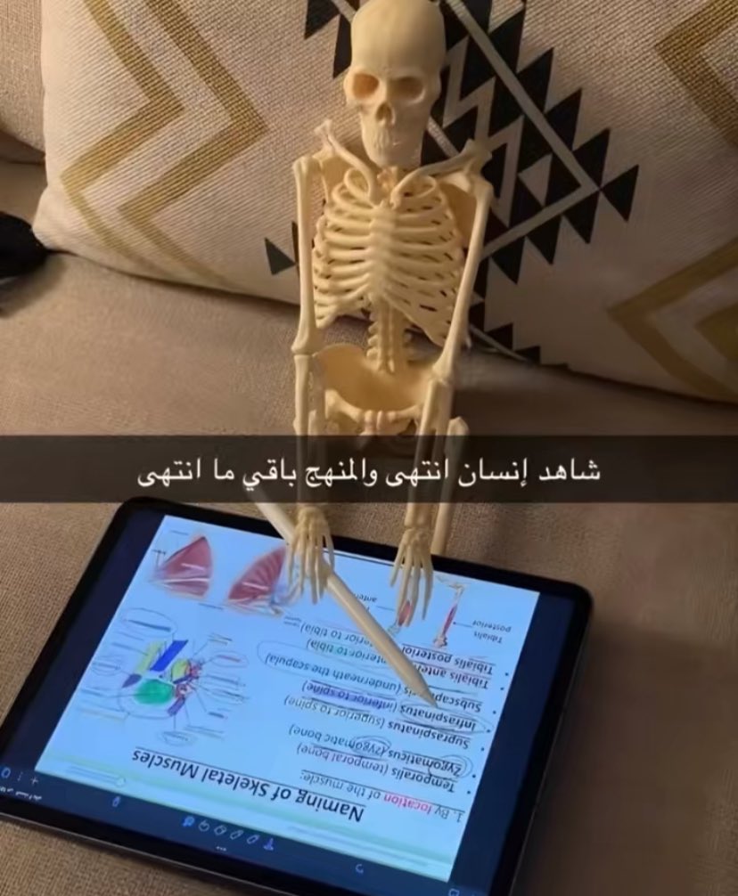 kasasbeh0's tweet image. 