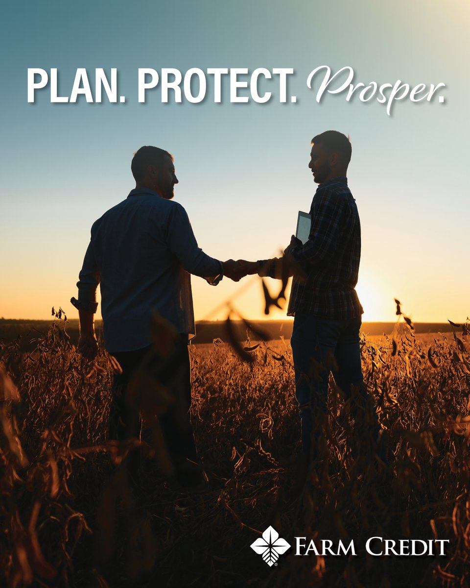 From tax prep to transition planning, our experts help turn everyday decisions into long-term momentum. Your operation’s next chapter starts here.

Learn more about our full suite of business services 👉 horizonfc.com/services