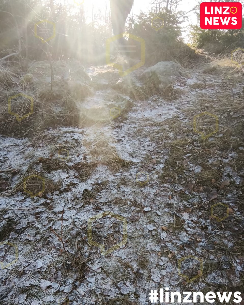 linzdotnews's tweet photo. ☀️ Sonne auf der GIS!
😲 Auch heute extremer Andrang in Lichtenberg.
🌫️ Die Flucht aus dem Nebel (noch keine Sonnenstunde in Linz im Dezember) geht also weiter.
📷 Leserfotos
#parken #gis #oida #spotted #andrang #lichtenberg #lesernews https://t.co/FR8mVDhZUS