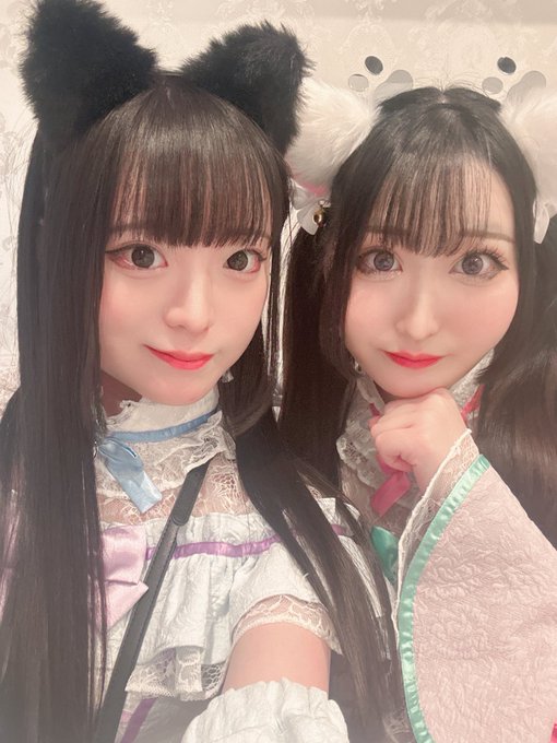 Dolly Catsのツイート