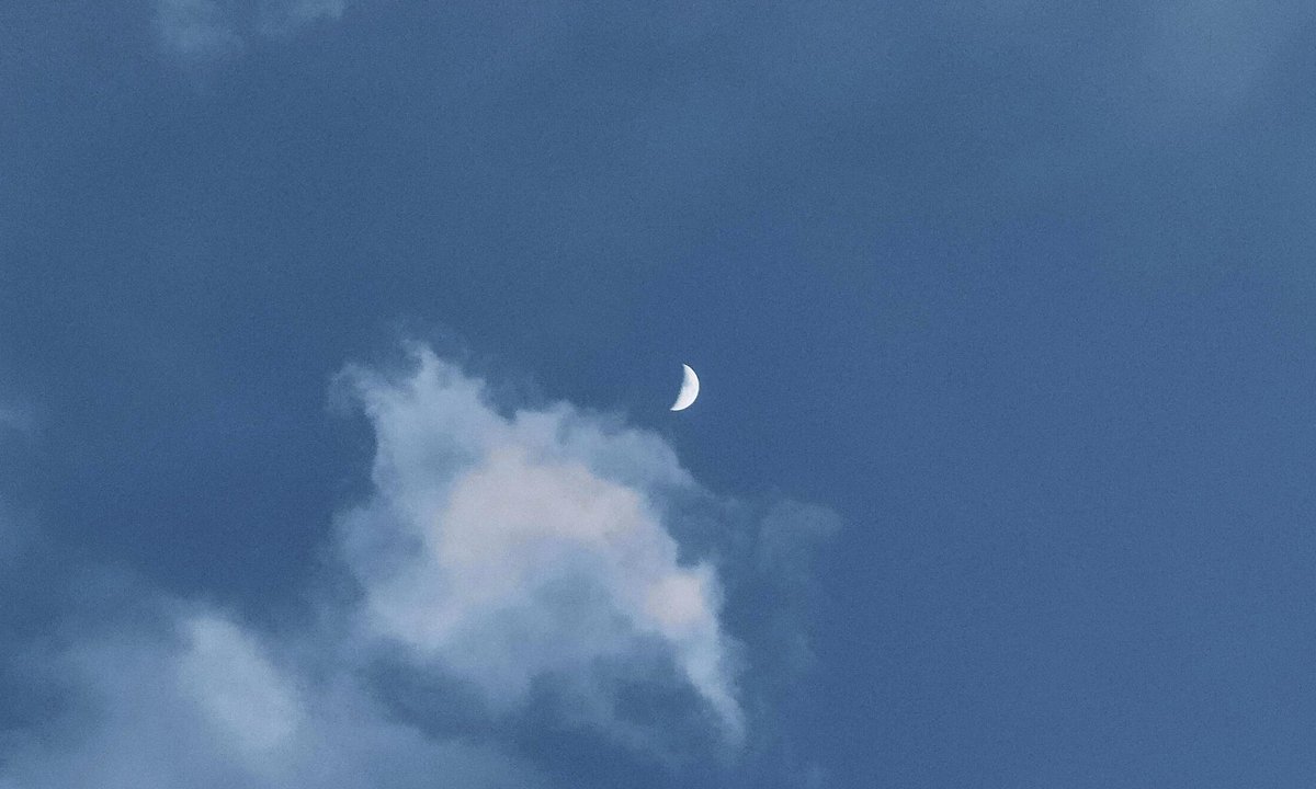 studio ghibli (@gardenofghibli) on Twitter photo 