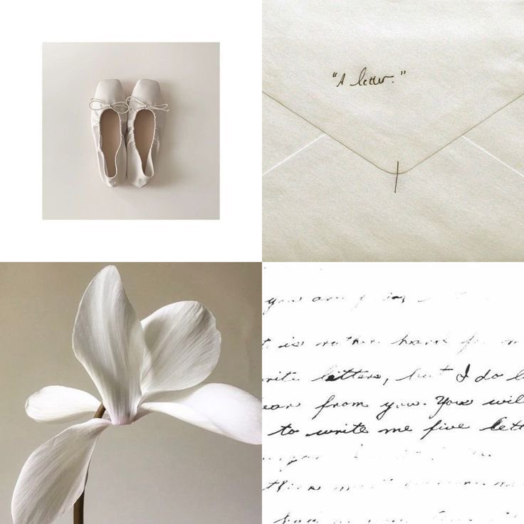 𝘮𝘪𝘺𝘶 ♡ (@miyuccat) on Twitter photo 