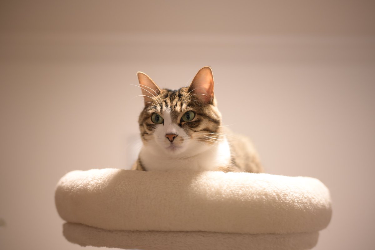 今日もお疲れ様でした。