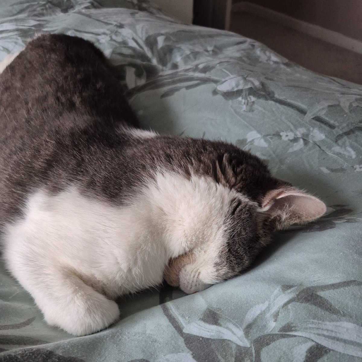 how Monday has me feeling: