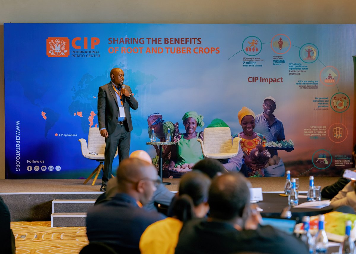 CipotatoRW's tweet photo. The BioCap Project is here to complement Rwanda’s climate adaptation strategy. By empowering local scientists, strengthening regulation, and delivering improved crops to farmers, BioCap positions Rwanda as a hub for safe, climate-smart biotechnology in Africa. #BioCapRwanda https://t.co/a2JP4GipX6