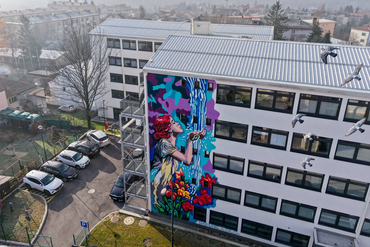 United Nations BiH tweet media