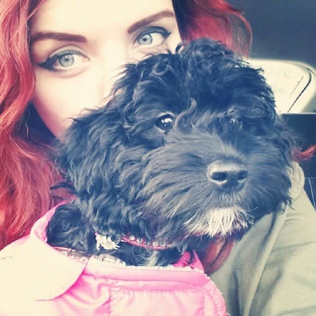 My little girl will be crossing the rainbow bridge this afternoon and my heart is absolutely broken