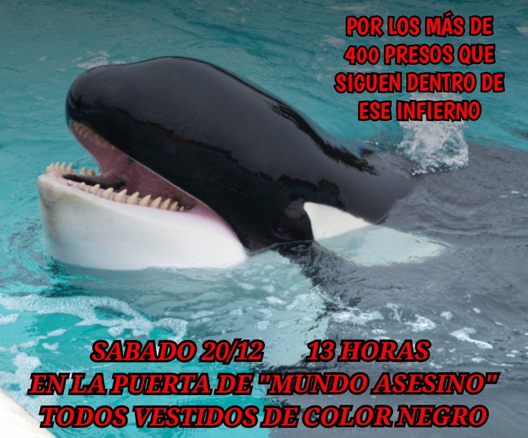 EL SÁBADO, TODOS A "MUNDO ASESINO" VESTIDOS DE COLOR NEGRO.