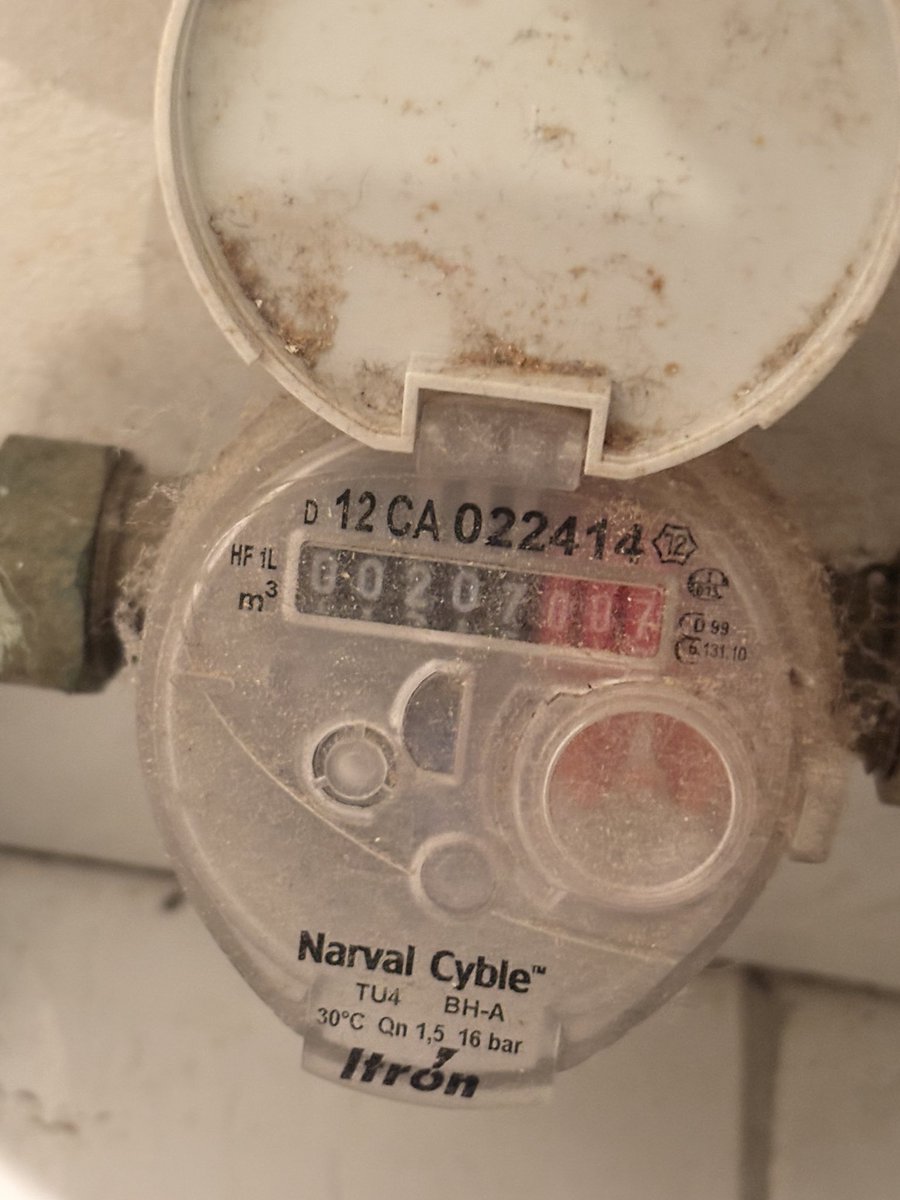 camillee111's tweet image. 🪱