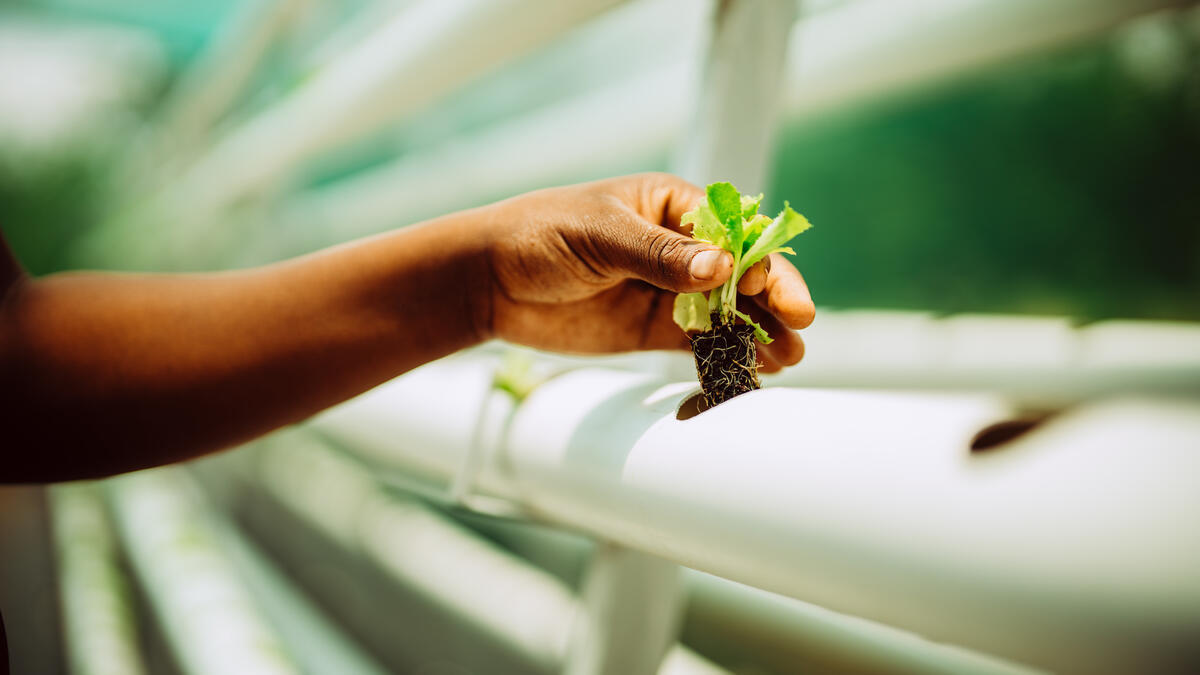 Danny Glenwright tweet media