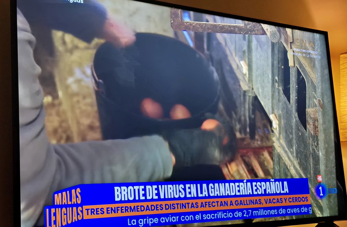 Acabo de ver una pieza sensacionalista en #malaslenguas alarmando sobre las enfermedades animales, se apoyan en Fernado Balladares del <a href="/CSIC/">CSIC</a> y sin contrastar con ninguna autoridad se sanidad animal. Este tipo de programas sin rigor no deben ser emitidos en la tele pública <a href="/rtve/">RTVE</a>