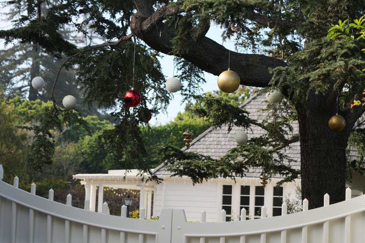 Christmas decoration hang from a tree inside Rob Reiner's residence Monday, Dec. 15, 2025, in the Brentwood section of Los Angeles. 😔

Photo: Chris Pizzello - AP

#RobReiner