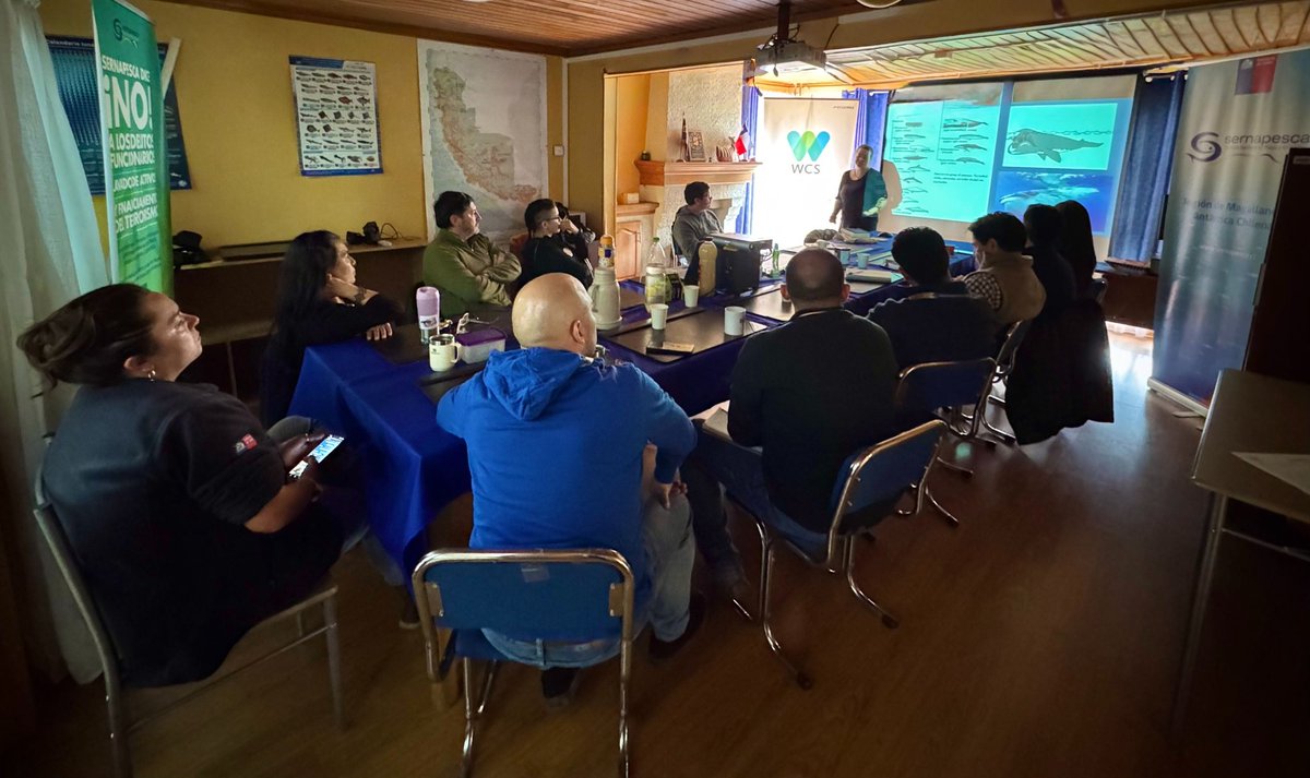 Servicio Nacional de Pesca y Acuicultura 🇨🇱 tweet media