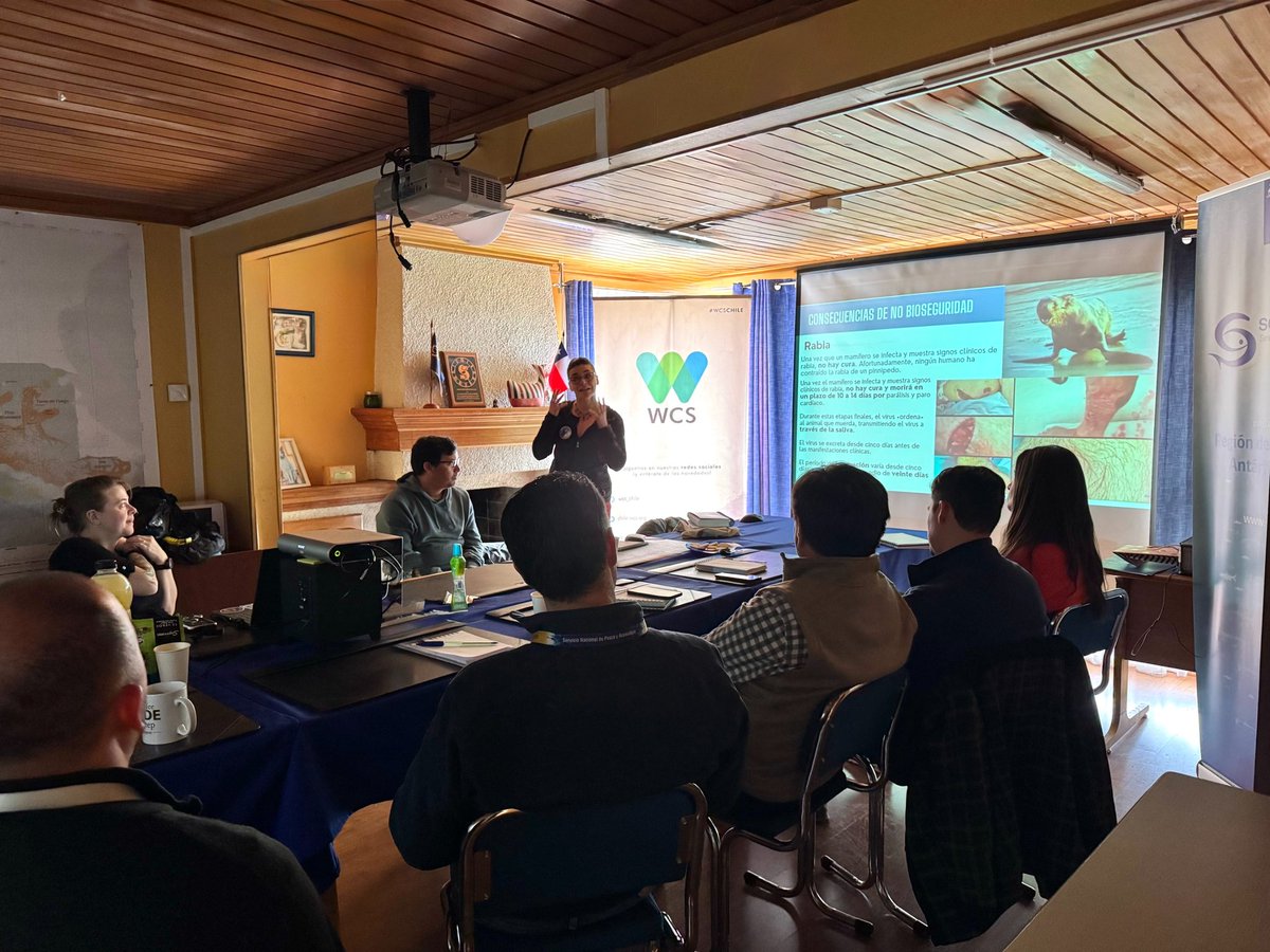 Servicio Nacional de Pesca y Acuicultura 🇨🇱 tweet media