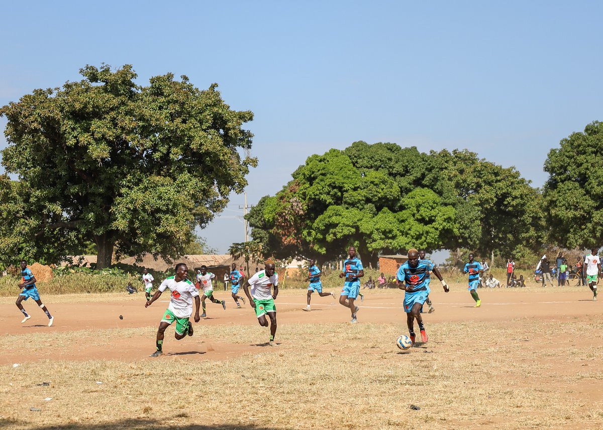 Shea Nut & Natural Oils Conservation Limited tweet media