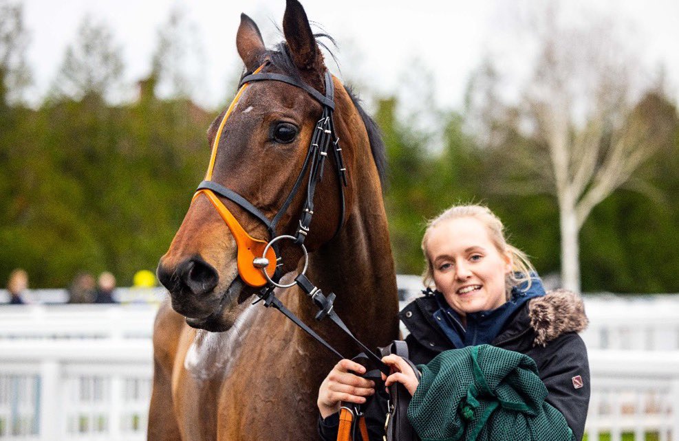 AWCarrollracing's tweet image. Double at Lingfield! 🔥

Fantastic to get two winners at Lingfield today thanks to GOGO YUBARI and THREE ON THURSDAY.

Congratulations to Netflow Consulting Ltd, who own both horses, and to Rossa Ryan for two superb rides.

123 winners in 2025.